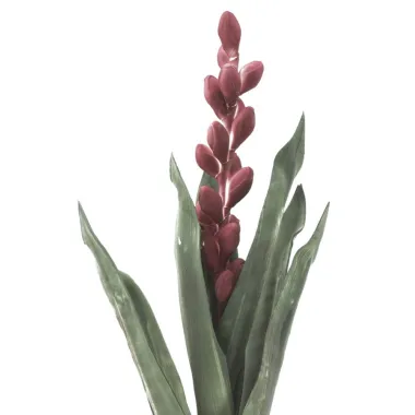 ALOE FLOWER ROSA 23X93 cm MIN 10